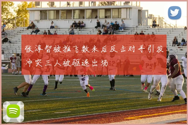 张淳智被推飞数米后反击对手引发冲突三人被驱逐出场