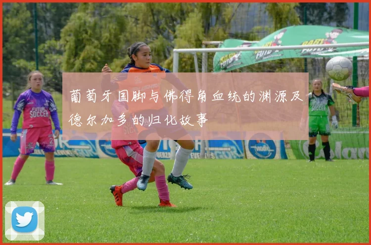 葡萄牙国脚与佛得角血统的渊源及德尔加多的归化故事